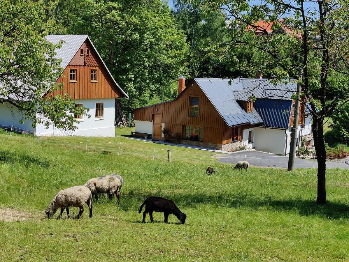 Luxusni Apt Hory 7 V Krkonosich Vysoké nad Jizerou Exterior foto